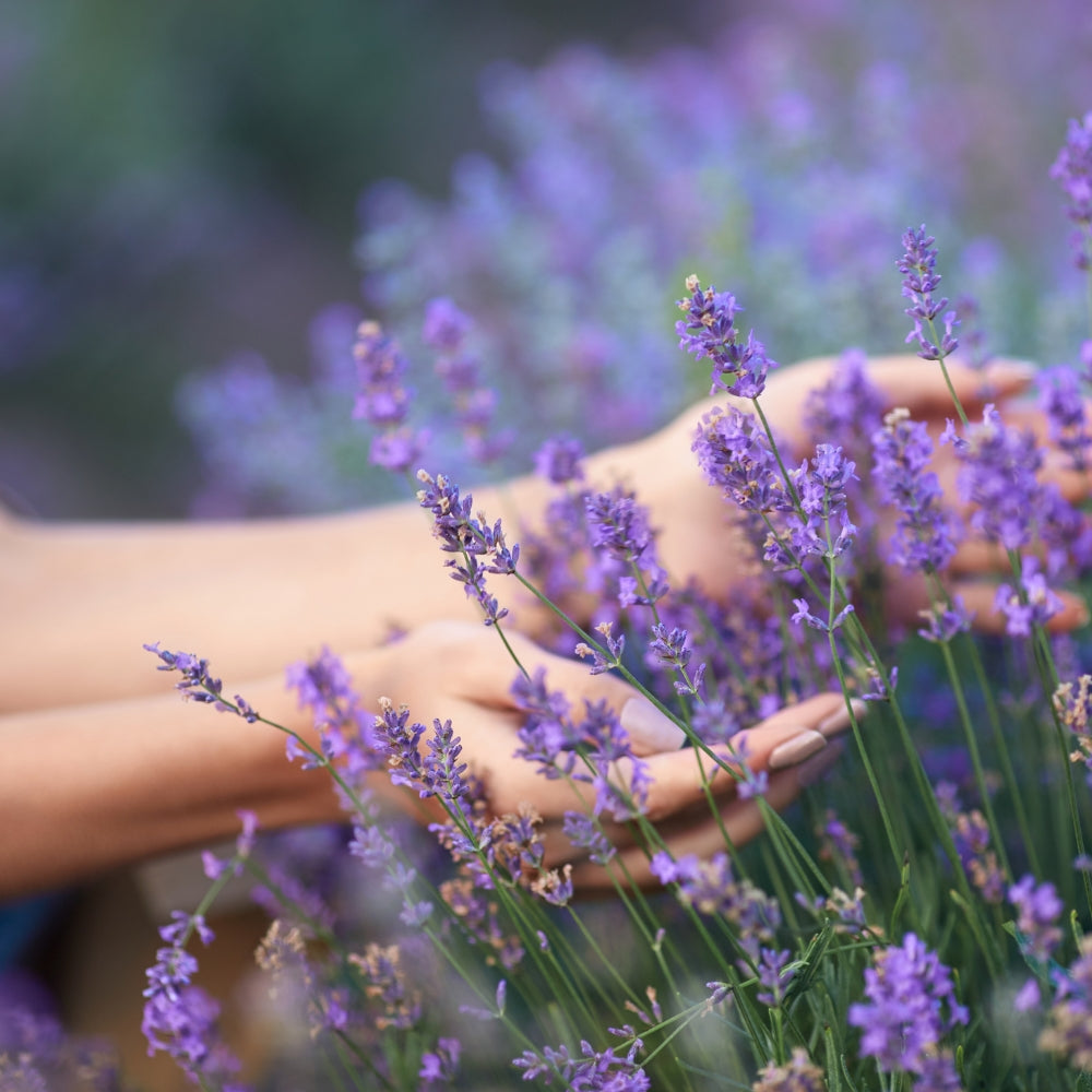 Tonico alla lavanda Bio 100 ml